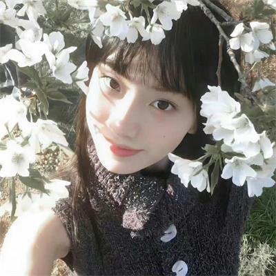 机器肉鸡第四季